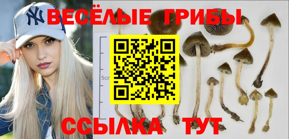 Галлюциногенные грибы GOLDEN TEACHER Вышний Волочёк